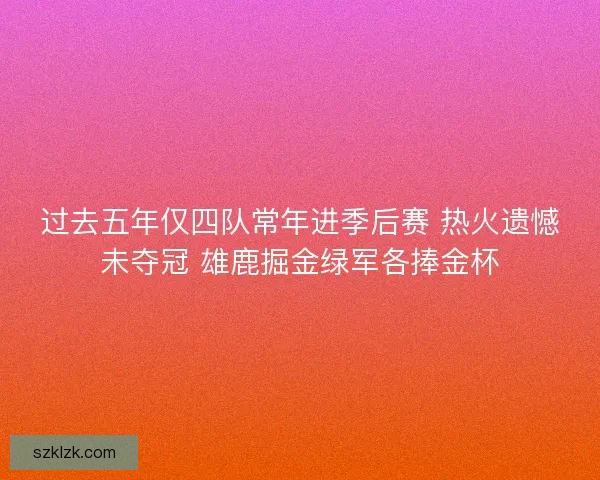 过去五年仅四队常年进季后赛 热火遗憾未夺冠 雄鹿掘金绿军各捧金杯