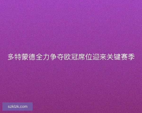 多特蒙德全力争夺欧冠席位迎来关键赛季